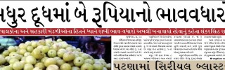 28 October 2013- Gandhinagar Samachar : Daily Gujarati News Paper from Gandhinagar City on Gandhinagar Portal